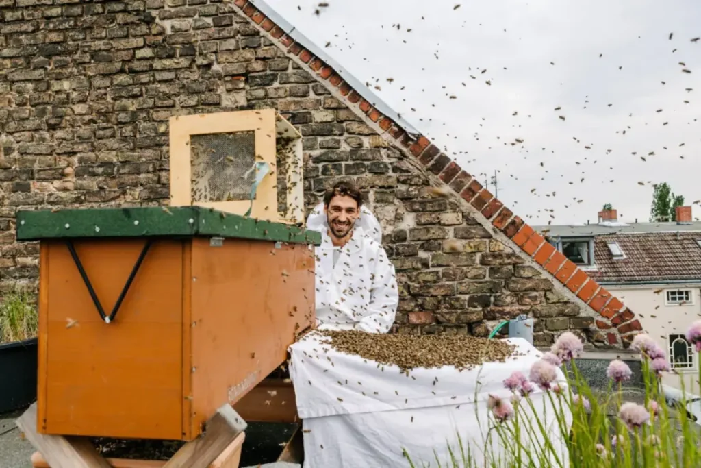 Ein Mann steht auf einem Balkon vor einer BienenBox, umgeben von einem großen Bienenschwarm. Ein weiterer Schwarm liegt auf einem Tuch vor der Box.