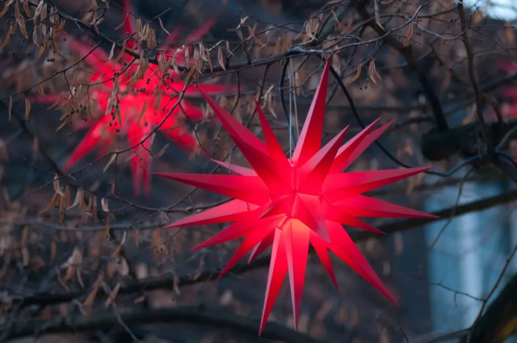 Zwei leuchtende, rote Weihnachtssterne hängen im Baum. 
